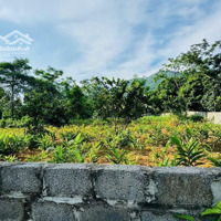 Bán Đất Cư Yên, Lương Sơn, Hoà Bình 1086M2 Lô Góc Vuông Đẹp