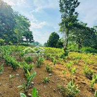 Bán Đất Cư Yên, Lương Sơn, Hoà Bình 1086M2 Lô Góc Vuông Đẹp