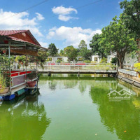 Nhà Vườn 2587M2 Góc 2 Mặt Tiền Đường Nguyễn Thanh Tâm, Sẵn Vườn Cây Ao Cá Mát Mẻ Giá Chỉ: 4 Tr/M2