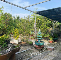 Nhà Vườn 2587M2 Góc 2 Mặt Tiền Đường Nguyễn Thanh Tâm, Sẵn Vườn Cây Ao Cá Mát Mẻ Giá Chỉ: 4 Tr/M2