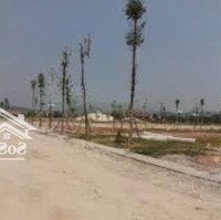 Bán Gấp Đất Đẹp Tại Lê Lợi, Chí Linh, Hải Dương, 19,8 Triệu / M2, 784M2, Tiềm Năng Tăng Giá Mạnh
