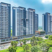 Chỉ 2 Tỷ Sở Hữu Ngay Shophouse Khối Đế Căn Hộ Celesta Rise Mặt Tiền Nguyễn Hữu Thọ, Khu Nam Sài Gòn