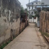 Chính Chủ Cần Tiền Bán 46M2 Đất Đường Ô Tô Giá Rẻ Nhất Thị Trường, Sổ Đỏ Cầm Tay Đất Vuông Vắn