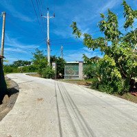 Bán Miếng Đất Vườn Hơn 500M2 Ven Kênh Nước Gần Chân Nút Giao Cao Tốc Phan Thiết