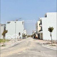 Chính Chủ Cần Bán Lô Biệt Thự 135 M2 Tái Định Cư Bắc Sông Cấm Áp Tràn Giá Bán 5 Tỷ Xx