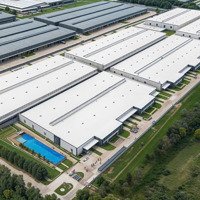 Cho Thuê Kho Xưởng Kcn Tân Phú Trung, Củ Chi, Khuôn Viên: 10.000M2, Xưởng: 6.000M2, Pccc Tự Động