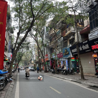 Bán Nhà Mặt Phố Nghĩa Tân, Đoạn Đẹp Nhất Phố, Vỉa Hè Rộng, Kinh Doanh Sầm Uất