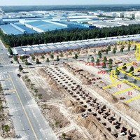Bán Đất Tại D11, Lai Uyên, Bàu Bàng, Bình Dương, 1,3 Tỷ, 150M2, Mặt Tiền Đẹp