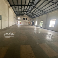 Cho Thuê Mặt Bằng Kinh Doanh Sầm Uất 8X30M Trống Suốt Đường 36M Tây Thạnh