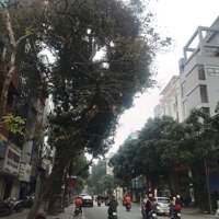 Mặt Phố Huế 120M Đẹp Nhất Quận Hai Bà Trưng 120M2 - Lô Góc -Mặt Tiềnrộng, Vỉa Hè 5M Giá Bán 60 Tỷ