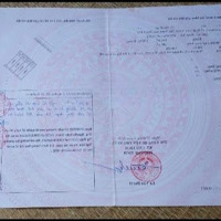 Bán Đất Mặt Tiền Đường Lớn, Thuận Tiện Bún Bán, Kd Các Loại Chính Chủ 100 Mét Vuông, Thổ Cư 100%.