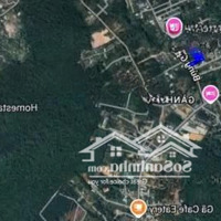 Bán Đất Tại Cửa Cạn, Phú Quốc, Kiên Giang 100 M2 Giá Ưu Đãi