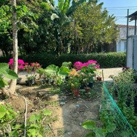 Bán Lô Đất Đường Nhựa, Giao Đường Huỳnh Thúc Kháng, Diên An, Diên Khánh, Nha Trang Giá 11 Triệu/M2