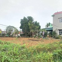 Bán Gấp Lô Góc Vuông Vắn, Đường To Tránh Nhau, Vị Trí Đắc Địa, Phù Hợp Làm Xưởng, Đầu Tư Sinh Lời