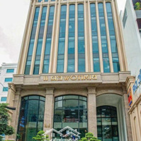Cần Bán Gấp Tòa Nhà Ngay Sân Baymặt Tiềnbạch Đằng - Dt: 10X32M Hầm 7 Tầng - Hdt: 300 Tr/Th Giá Bán 55 Tỷ Tl