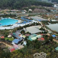 Siêu Phẩm 5.200M2 (545M2 Xd) Giáp Đồi Thông, Sát Kdl Đôi Dép Hiệp An, Giáp Suối Giá Rẻ 5,6 Tr/M2