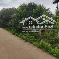 Cần Bán Gấp Đất Nền 500M Vị Trí Kim Cương Tại Phú Quốc!