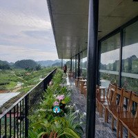 Đầu Tư Đất Nghỉ Dưỡng Vân Hồ Mộc Châu Sơn La, Giá Cực Mềm Chỉ 500- 1 Triệu/M2
