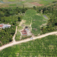 Gần 9000M2 Đất Full Hồng, Phía Sau Giáp Sông Lớn, Ngay Khu Dân Cư, Sẵn Nhà Cửa Trên Đất, 95 Triệu/Sào