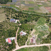 Gần 9000M2 Đất Full Hồng, Phía Sau Giáp Sông Lớn, Ngay Khu Dân Cư, Sẵn Nhà Cửa Trên Đất, 95 Triệu/Sào