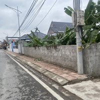 Bán Đất 202M2 Tại Đường 360, Thị Trấn Trường Sơn, An Lão, Hải Phòng, Giá Bán 1,55 Tỷ