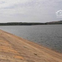 Cc Bán Gấp Lô Đất Nhà Vườn Sinh Thái Rộng 1Ha -Gần Hồ Đá Bàng -5'' Tới Cao Tốc Biên Hòa -Vũng Tàu