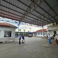 Cho Thuê Kho Xưởng 6000M2 Cơ Sở Hạ Tầng Đầy Đủ Đường Tỉnh Lộ 835, Phước Lợi, Long An