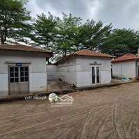 Cho Thuê Kho Xưởng 6000M2 Cơ Sở Hạ Tầng Đầy Đủ Đường Tỉnh Lộ 835, Phước Lợi, Long An