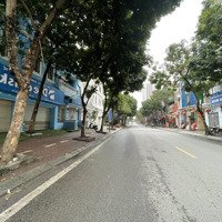 Bán Nhà 4 Tầng, 48M2, Mặt Phố, Kinh Doanh, Đối Diện Khu Bt Hyundai, Tô Hiệu - Hà Đông Chỉ 16.9 Tỷ