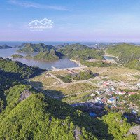 Lô Đất Đẹp Tại Trân Châu - Cát Bà Sở Hữu Ngay Trước Khi Cát Bà Bùng Nổ Giá Trị