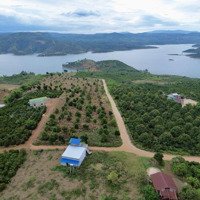 View Hồ - Vườn Sầu Chỉ 780 Tr 1000M2 - 100M2 Thổ Lâm Hà - Lâm Đồng