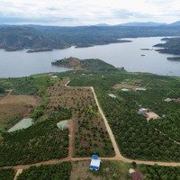 View Hồ - Vườn Sầu Chỉ 780 Tr 1000M2 - 100M2 Thổ Lâm Hà - Lâm Đồng