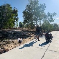 Hàng Hót Lô Đất View Biển Full Thổ Cư Đường 5M Thông Gần Ngay Venezia Beach Bình Châu, Xuyên Mộc
