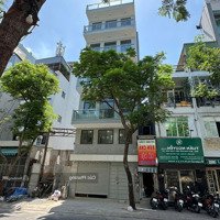 Rẻ Nhất Thị Trường! Bán Gấp Nhà Ngaymặt Tiềncmt8, Quận 3 ( 6X20M, 7 Tầng, Hđt 130 Triệu), Giá Bán 38 Tỷ