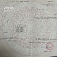 Bán Nền Biệt Thự Biển Chỉ 1 Trong 110 Căn Vila Đặc Biệt Tại Cần Giờ Giá Mềm Như Lụa