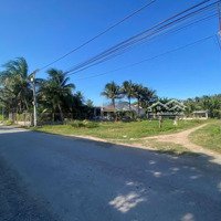 Cần Bán Đất Ở Nông Thôn Tại Nhĩ Sự_Ninh Thân