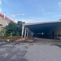 Bán nhà xưởng 10.000m2 trong Khu công nghiệp Mỹ Phước 3, Bến Cát, Bình Dương/ 出售位于滨州市美福3工业区的10,000平方米厂房