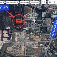 Bán Đất Giá Siêu Hời Tại Trường Lưu, Long Trường, Thủ Đức, 4,2 Tỷ, 1000M2