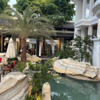 Giảm 500 Tỷ Xuống Còn 380 Tỷ Bán Khuôn Đất Vip 50M X120M,Ctxd Hầm 14 Tầng, Thu Nhập 2 Tỷ /Tháng