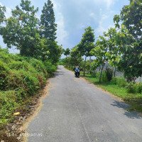 Bán Lô Đất Full Thổ Cư Giá Rẻ Đường Nhựa Gần Kcn Tây Bắc Khu Dân Cư Đông Sầm Uất