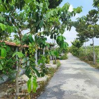 Bán Lô Đất Full Thổ Cư Giá Rẻ Đường Nhựa Gần Kcn Tây Bắc Khu Dân Cư Đông Sầm Uất