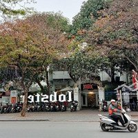 Đỉnh Nóc! Cho Thuê Nhà Mặt Phố Hàng Bún, Tổng Diện Tích Hơn 2000M2 Mặt Tiền 15M Hợp Mọi Mô Hình