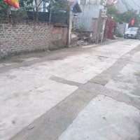 Chính Chủ Gửi Bán 100M Kinh Doanh Mai Lâm, Ôtô Tránh, Sát Vin Cổ Loa, Cầu Tứ Liên