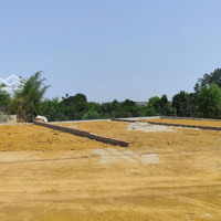 Chỉ 2.18 Tỷ Có Ngay 130.5M2 Đất Tại Quốc Oai, Đất Vuông Đẹp, Sổ Đỏ Cất Két, Đường Ô Tô Tránh