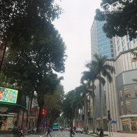 Mặt Phố Bà Triệu 225M2 Mặt Tiền Quyền Lực, Tòa Nhà Lừng Lửng Đẹp Nhất Phố Giá Hợp Lý