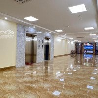 Mặt Phố Bà Triệu 225M2 Mặt Tiền Quyền Lực, Tòa Nhà Lừng Lửng Đẹp Nhất Phố Giá Hợp Lý