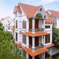 Tổng Hợp Quỹ Căn Biệt Thự 200-400-600M2 Vip Chủ Nhà Tin Tưởng Gửi Bán. Dự Án The Phoenix Garden