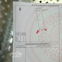Bán Nhà Cấp 4 Phường An Bình, Biên Hòa, Đồng Nai
