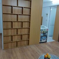 Bán căn hộ chung cư mini Đại Linh  Trung Văn Nam Từ Liêm 40m giá 1.1 tỷ, phôi sổ riêng
