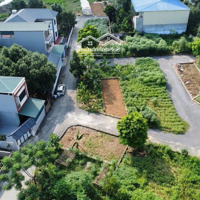 Cơ Hội Đầu Tư Sinh Lời Cao: Bán Lô Góc 78M Phúc Tiến, Giá Siêu Rẻ, Vị Trí Đắc Địa!